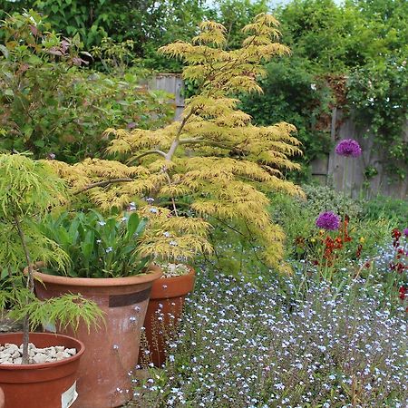 Laurels Guesthouse Witney Dış mekan fotoğraf