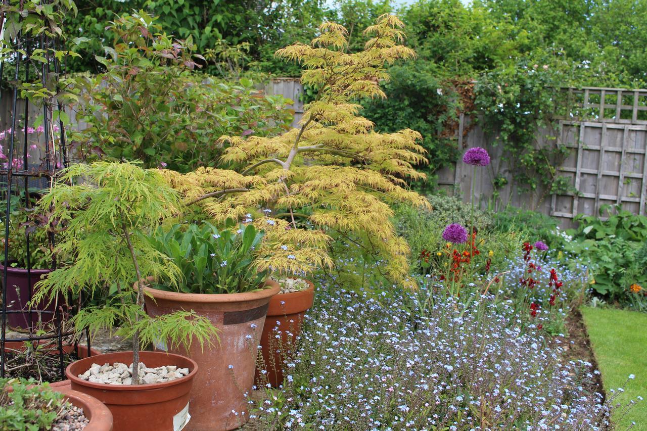 Laurels Guesthouse Witney Dış mekan fotoğraf